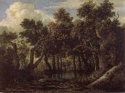 Jacob van Ruisdael Marsh in a Forest oil on canvas